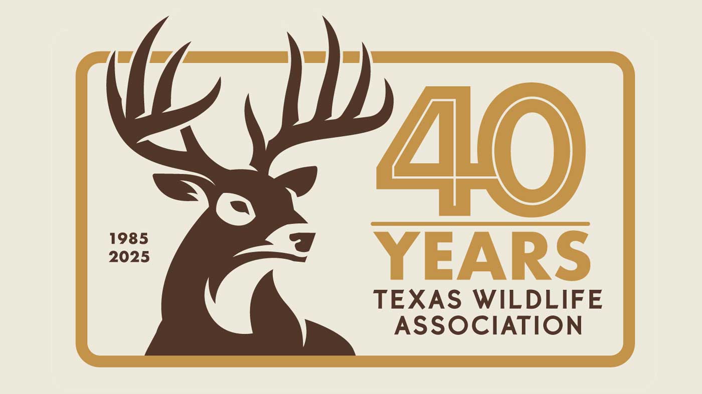 TWA 40 Years | Braun & Gresham